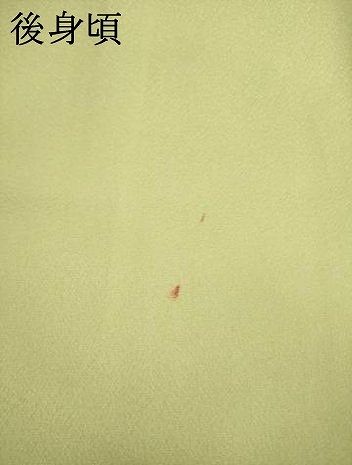  平和屋着物 訪問着 友禅 枝花文 暈し染め 正絹 ck 訪問着 付け下げ 着物