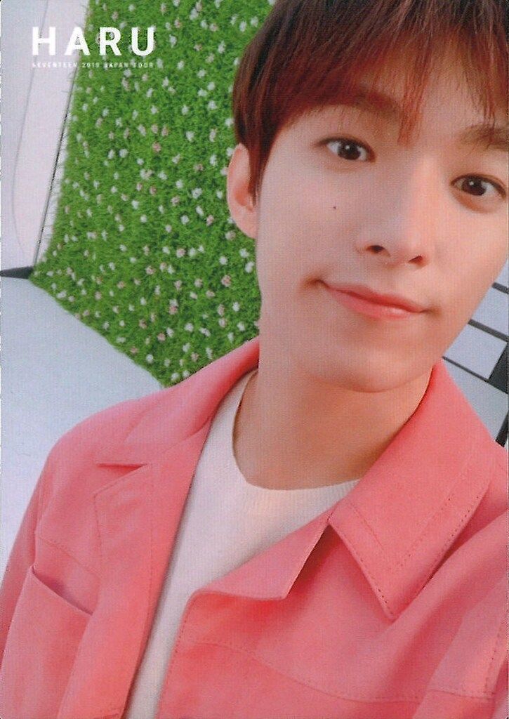 SEVENTEEN DK 2019 HARU トレーディングカード 44 - メルカリ