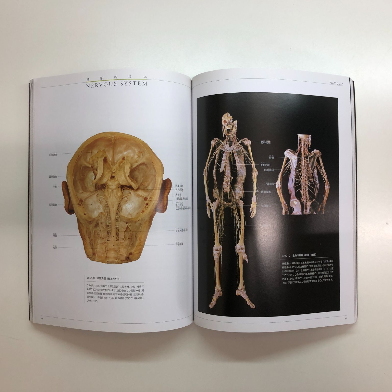 C]図録 人体の不思議展 Mysteries of the Human Body - メルカリ