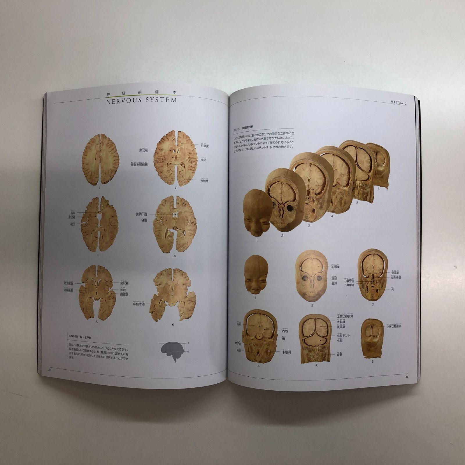 C]図録 人体の不思議展 Mysteries of the Human Body - メルカリ