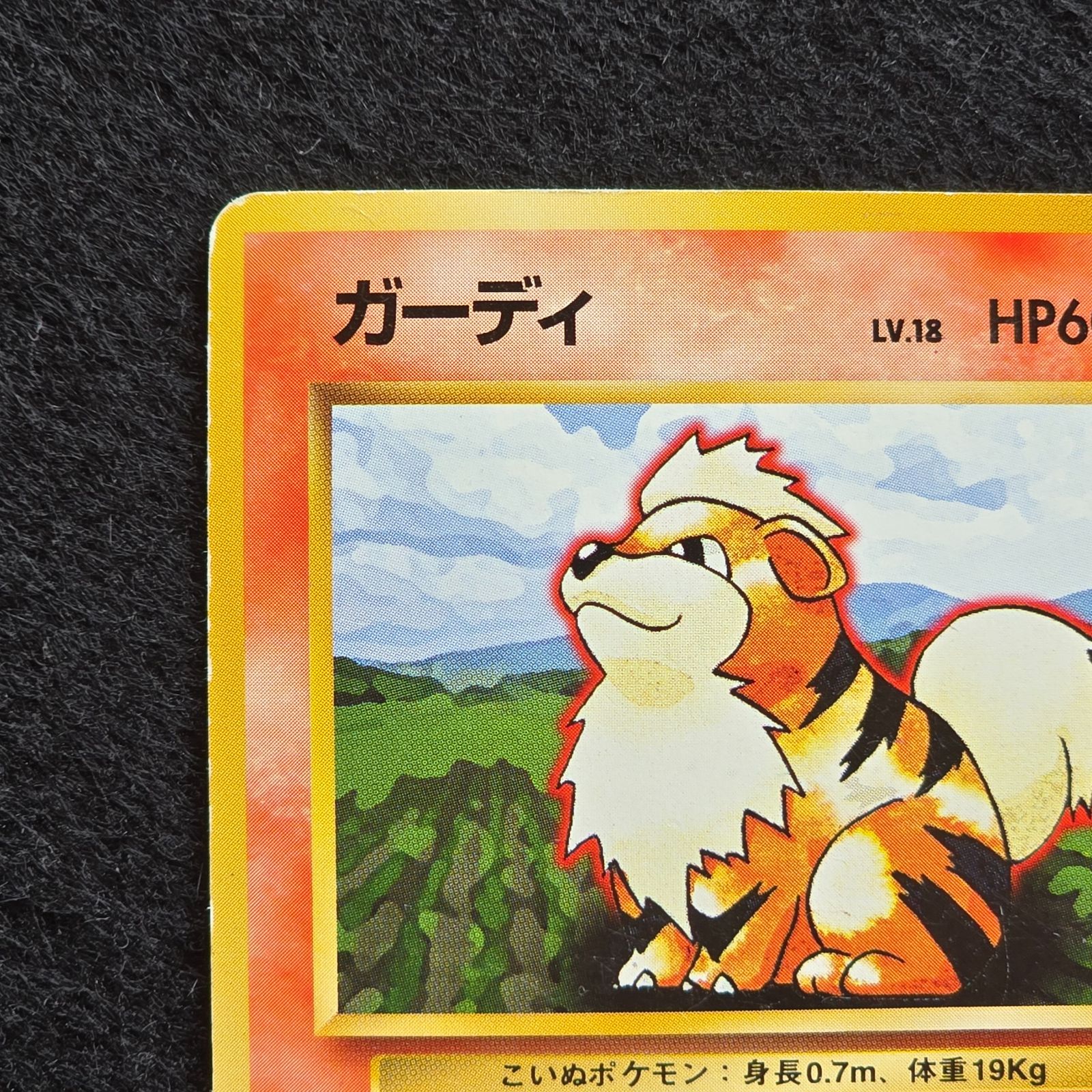 ガーディ 第1弾拡張パック 旧裏 マークなし 初版 - メルカリ