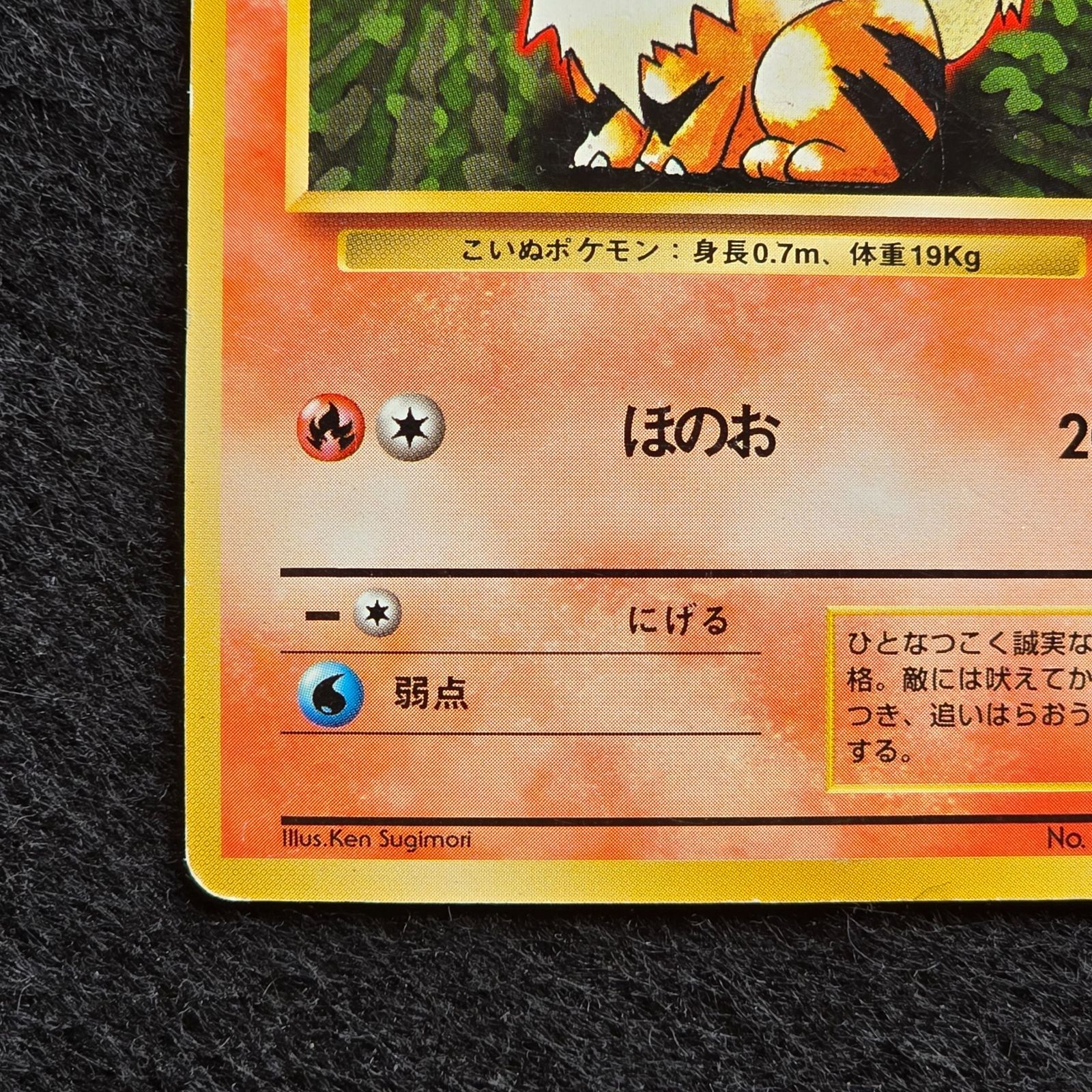 ⑫ポケモンカード　旧裏マークなし　ガーディ ◆ 第1弾拡張パック ガーディ 第1弾拡張パック 旧裏 マークなし 初版 - メルカリ