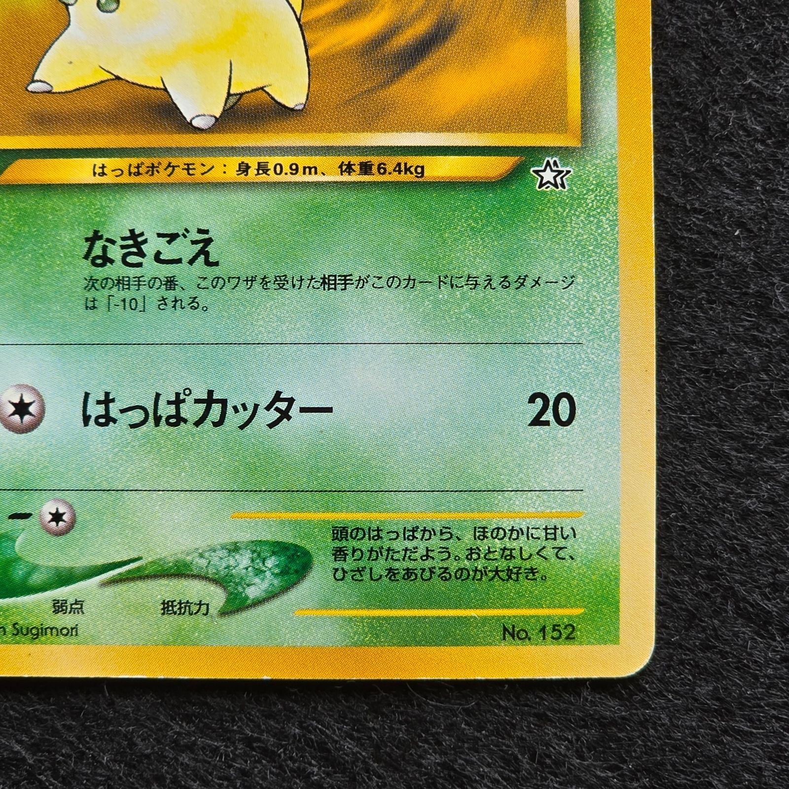 チコリータ プレミアムファイル PROMO 第1世代 旧裏 - メルカリ