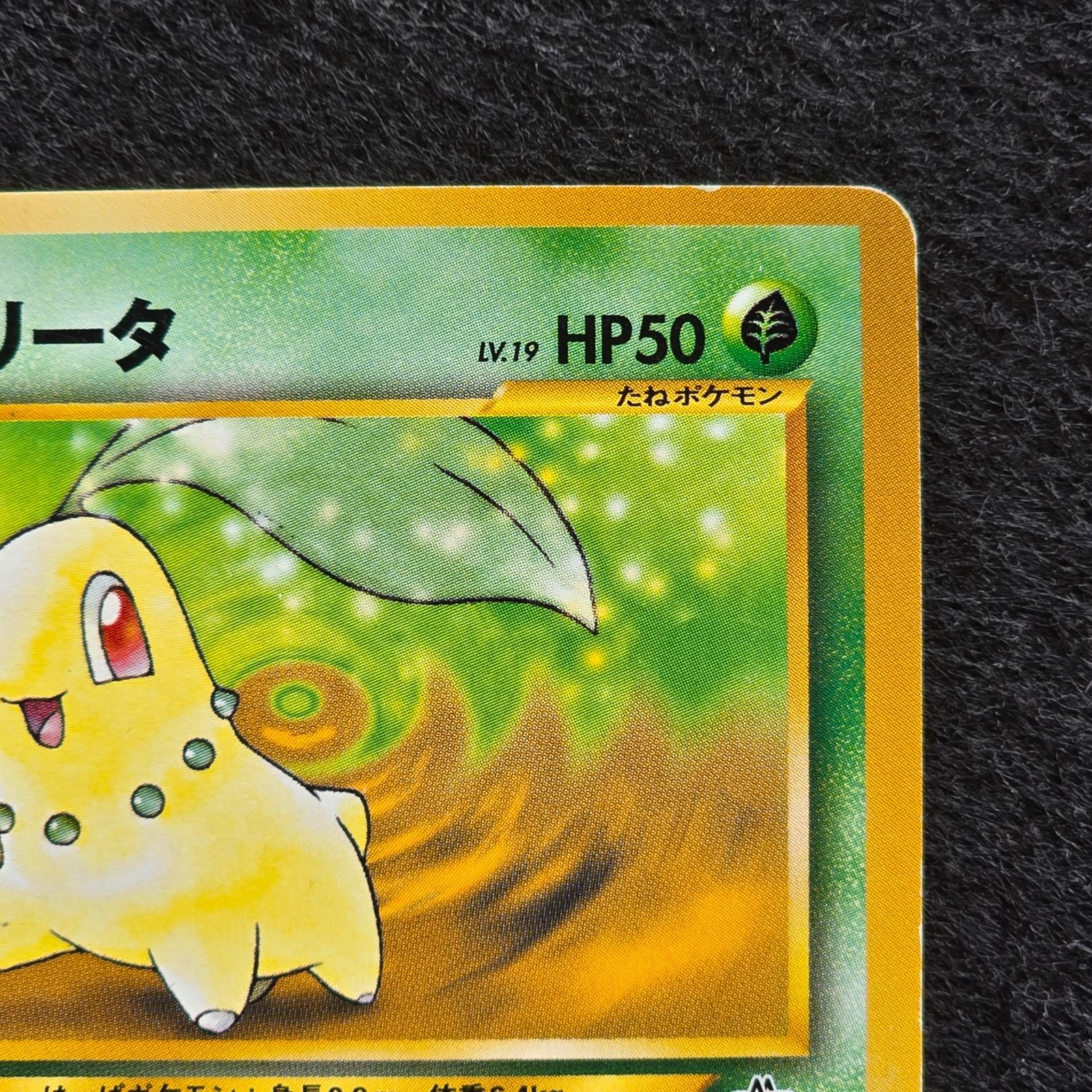 チコリータ プレミアムファイル PROMO 第1世代 旧裏 - メルカリ