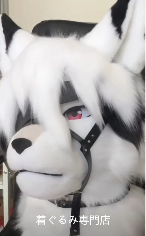 ファースーツ マスク 着ぐるみセット ケモノ ファースーツ 全頭ヘッド