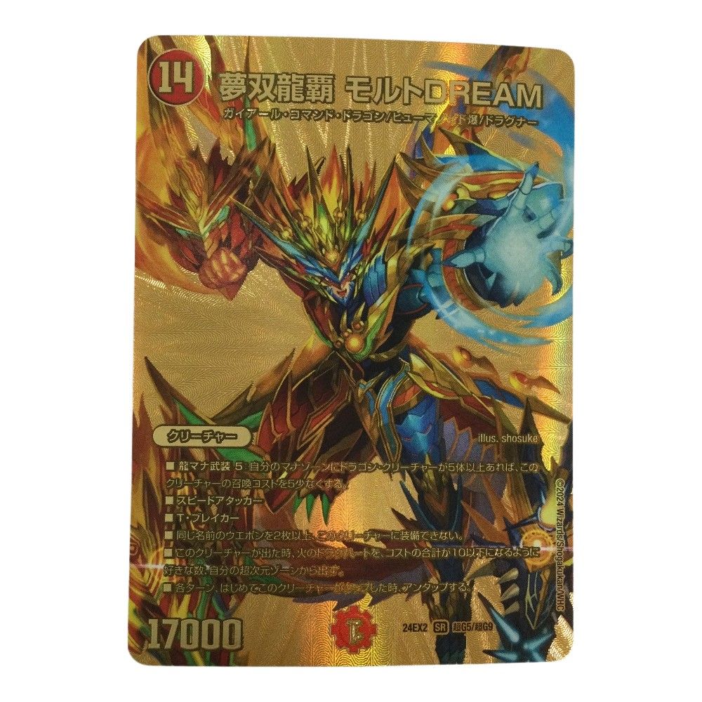 ζζ トレカ デュエルマスターズ 夢双龍覇 モルトDREAM DM24EX2TG5/TG9