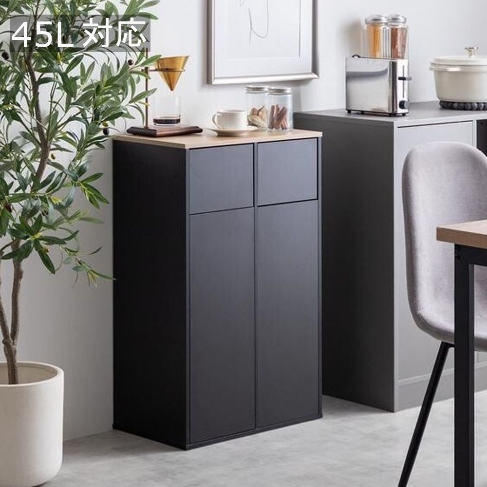 ゴミ箱 幅50 cm スウィング扉 45 L対応 ダストボックス スリム 省スペース 2連式 ごみ箱 シンプル おしゃれ かわいい リビング ダイニング キッチン ワンルーム 1人暮らし