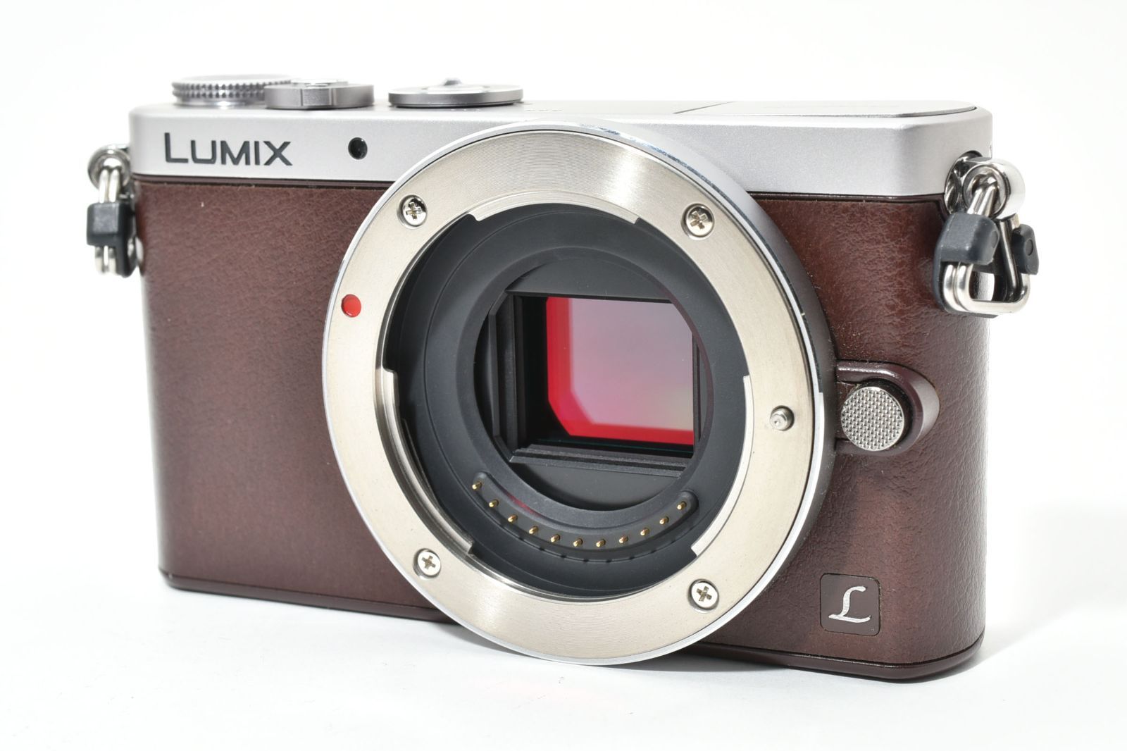 Panasonic パナソニック LUMIX DMC GM 1 S ボディ シャッター数3089回