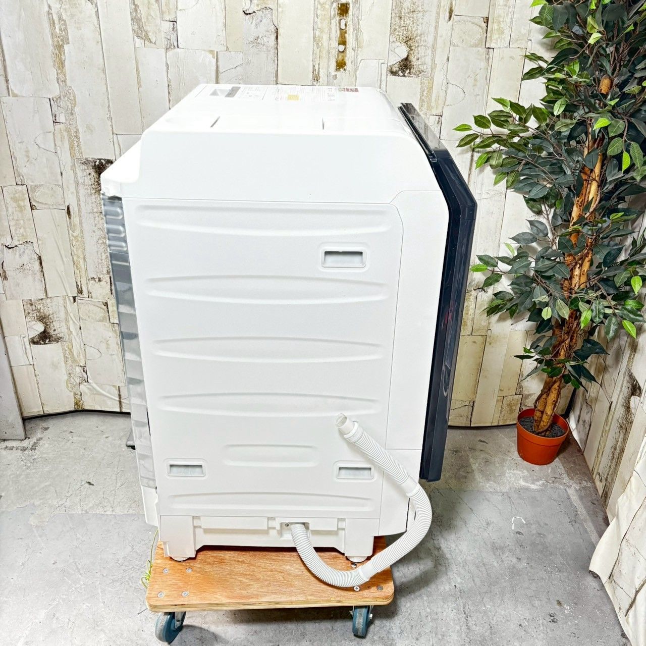  2020年製 SHARP シャープ ES W 113 SL ドラム式洗濯乾燥機 11 0 kg ドラム式洗濯機本体 ドラム式洗濯機