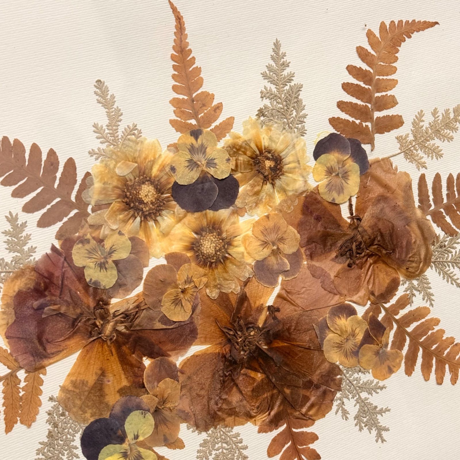 アンティーク　木製フレーム　押し花アート 🌿押し花アートトレー（木製フレーム付き）🌿 - メルカリ