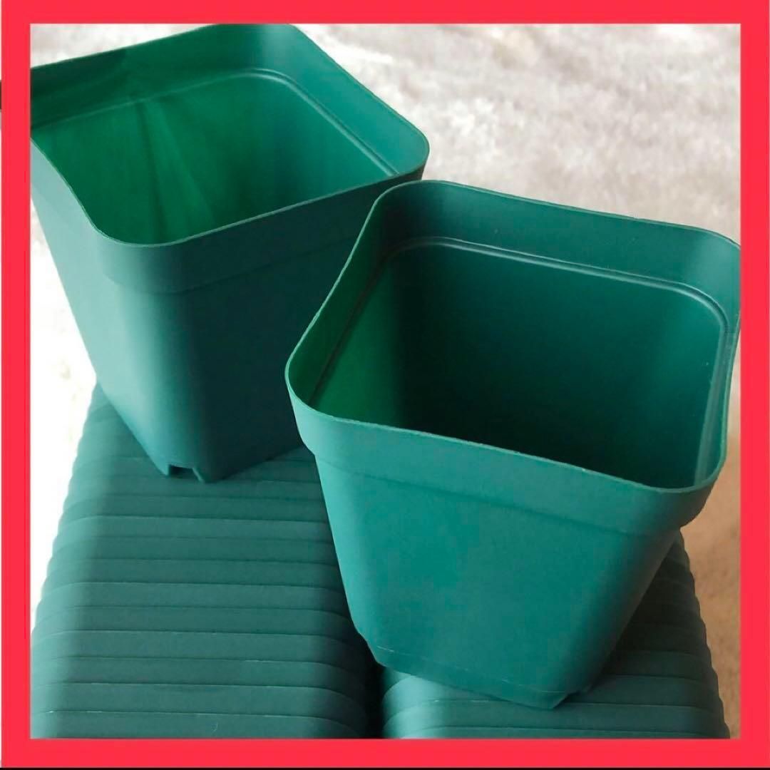 正方形 育苗ポット グリーン 100個 - メルカリ