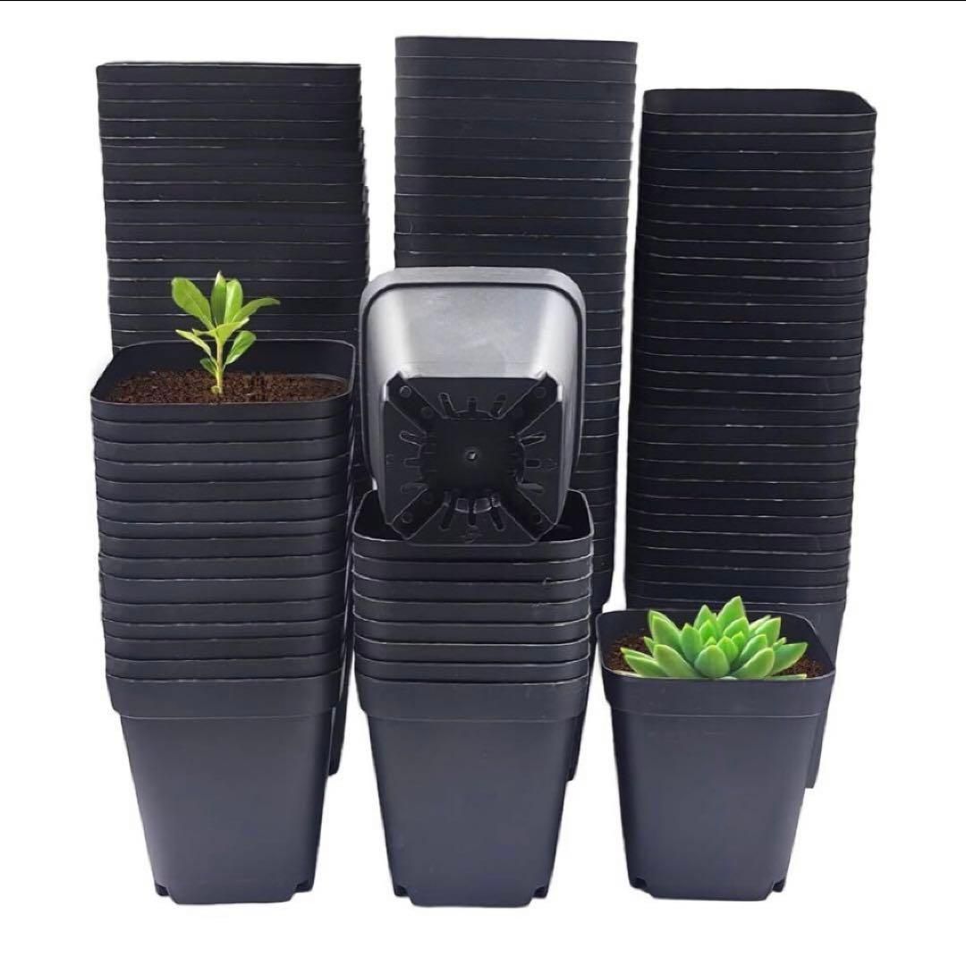 正方形 育苗ポット グリーン 100個 - メルカリ