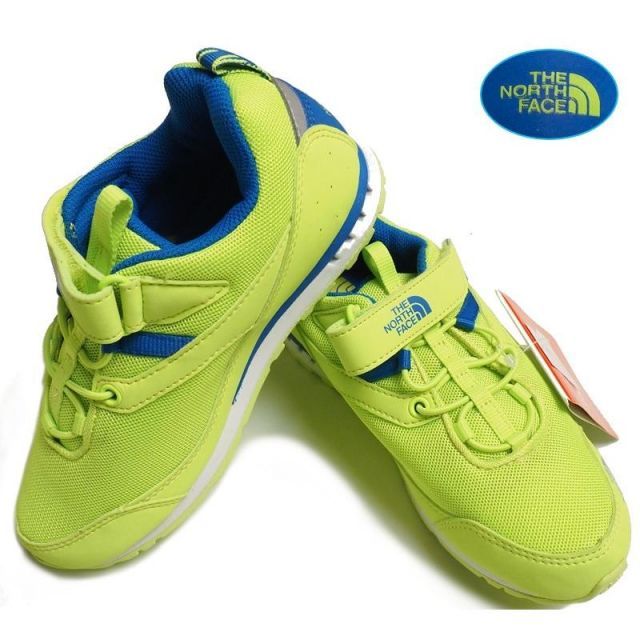 真作】橋本静水/芍薬小禽図/雀図/シャクヤク図/掛軸☆宝船☆Z-745