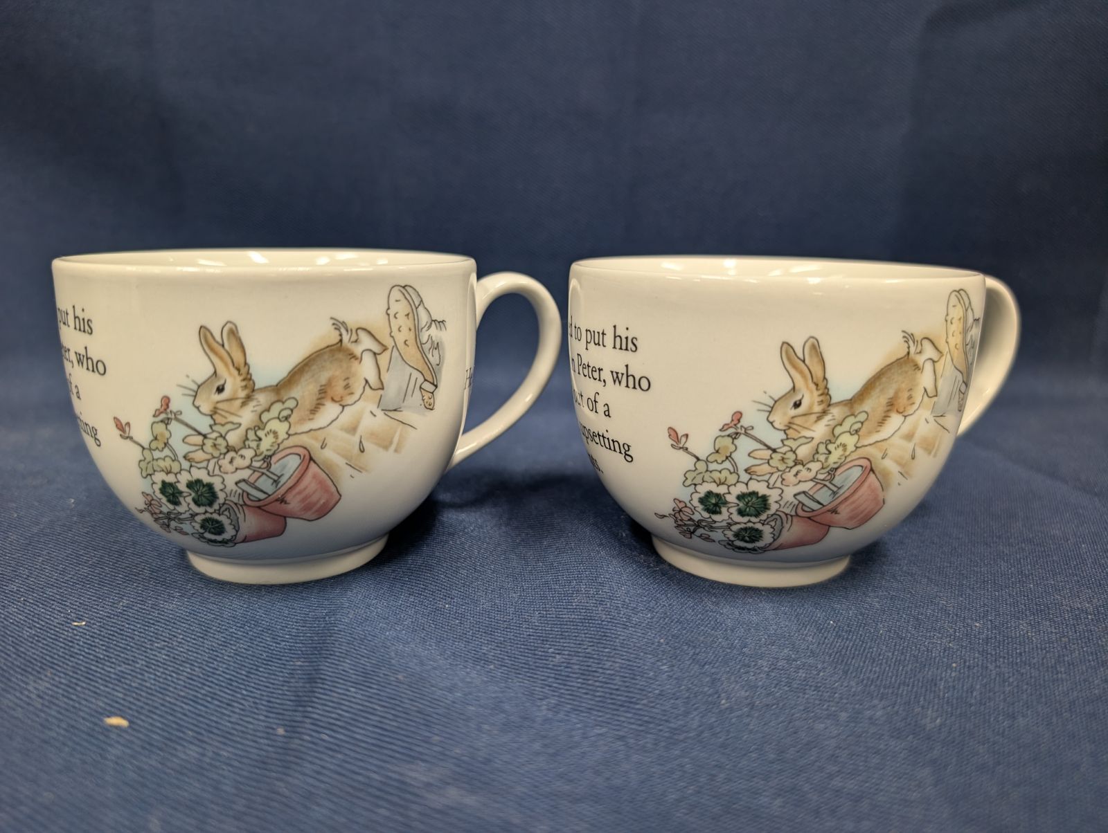 ウェッジウッド　ピーターラビット　プレート大小各2枚•カップ&ソーサー2客 ウェッジウッド ピーターラビット プレート大小各2枚•カップ&ソーサー2