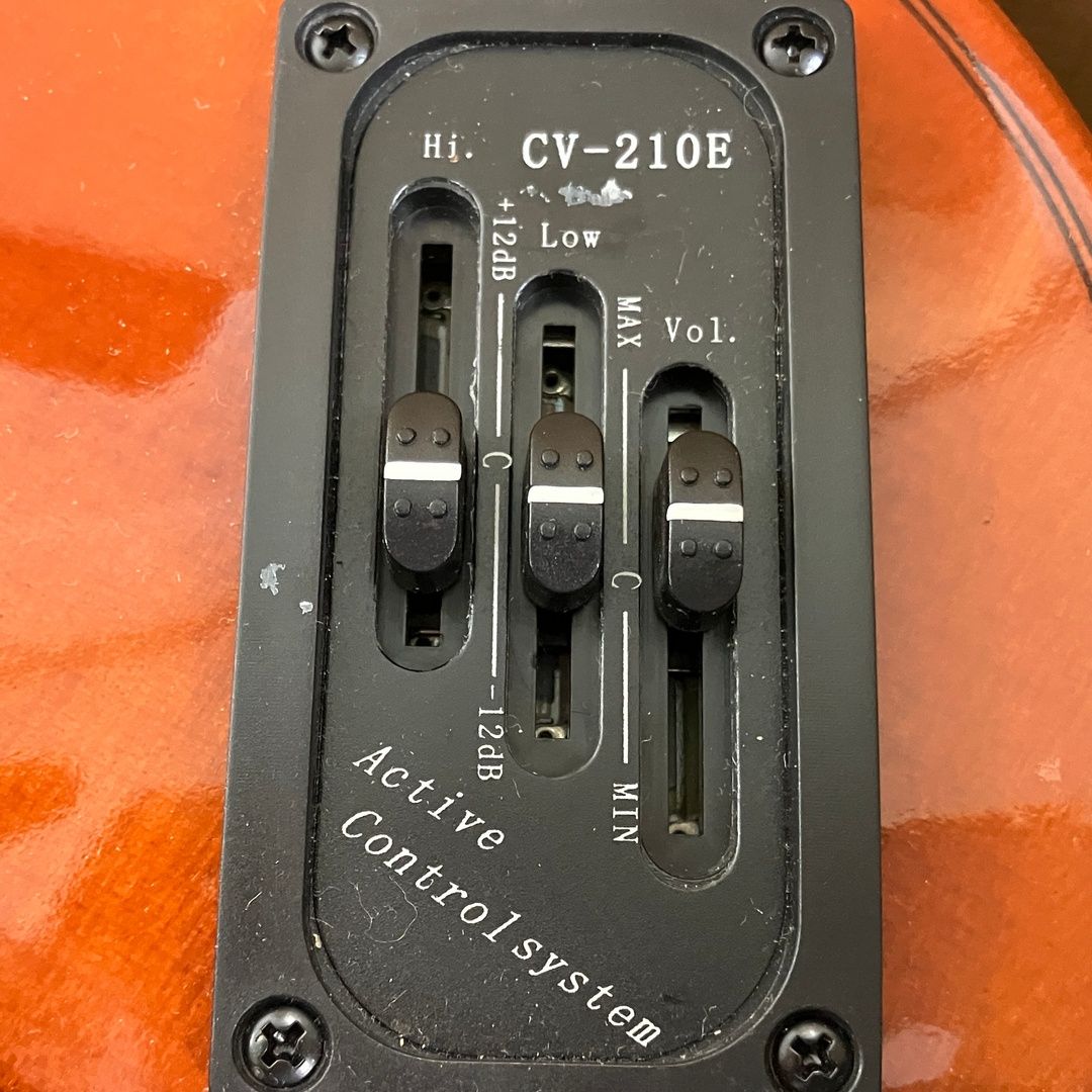 Carlo giordano カルロジョルダーノ EV-202 エレキバイオリン Y10619136