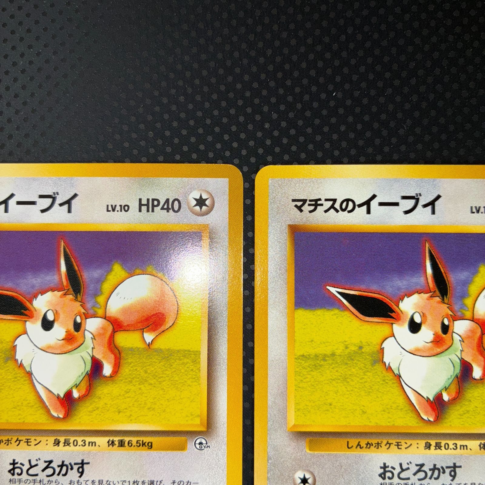 旧裏 ブイズ 各2枚 旧裏 ブイズ 各2枚 旧裏 ブイズ 各2枚まとめ売り 旧裏