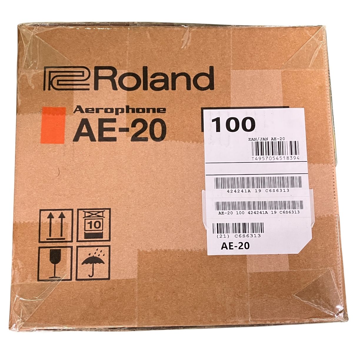 Roland AE 20 Aerophone エアロフォン ウインドシンセサイザー デジタル管楽器 ローランド