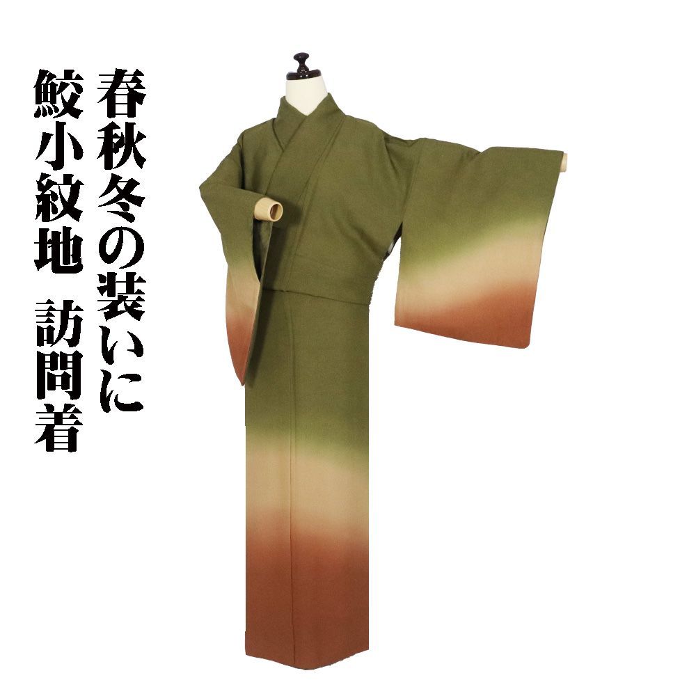 訪問着 袷 正絹 鮫小紋地 緑 ベージュ 赤茶紫 暈し Lサイズ ki 31386 レディース シルク ギフト フォーマル 30代 40代 50代