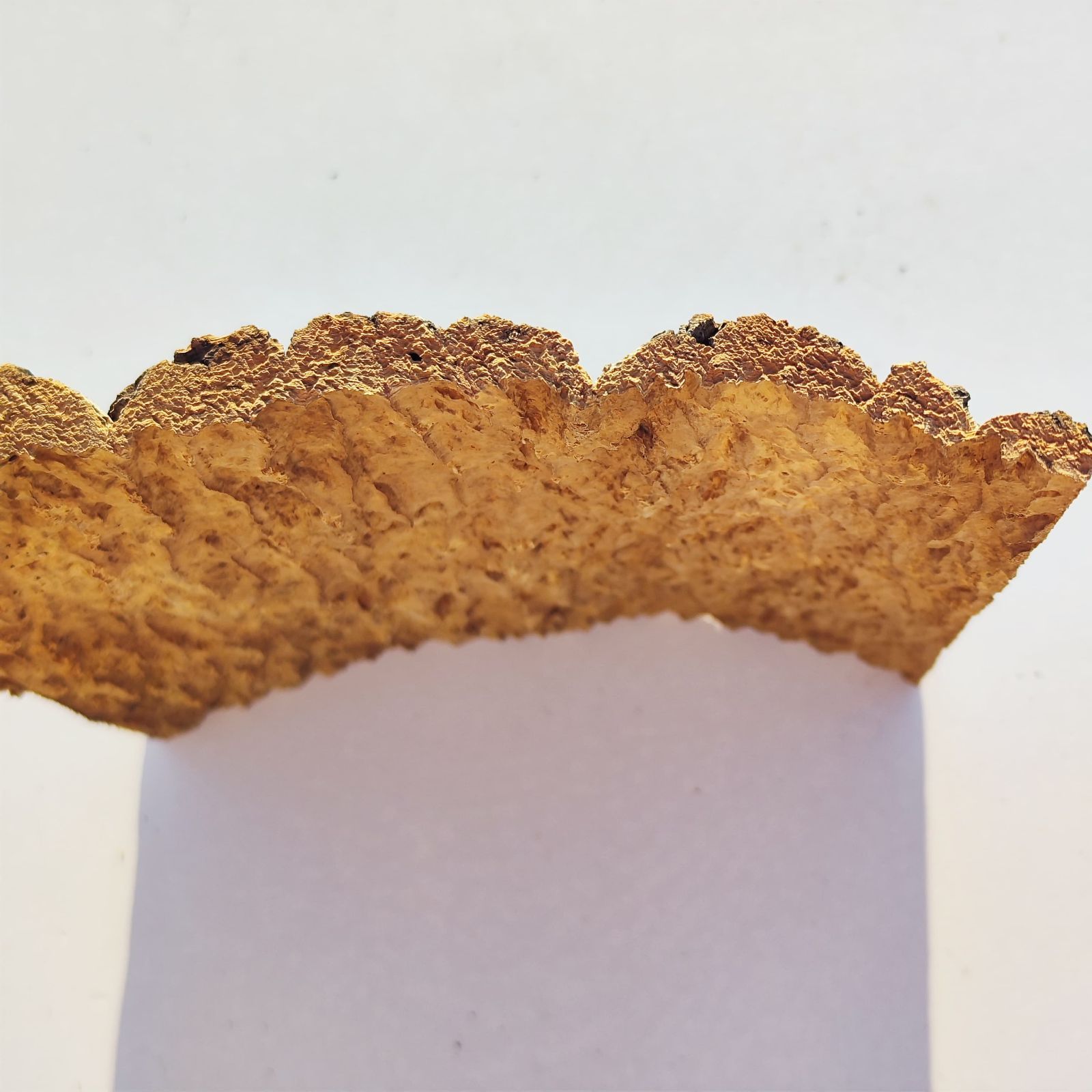 c986 25×30cm コルク樹皮 コルク板 バージンコルク 穴あけ可 送料無料