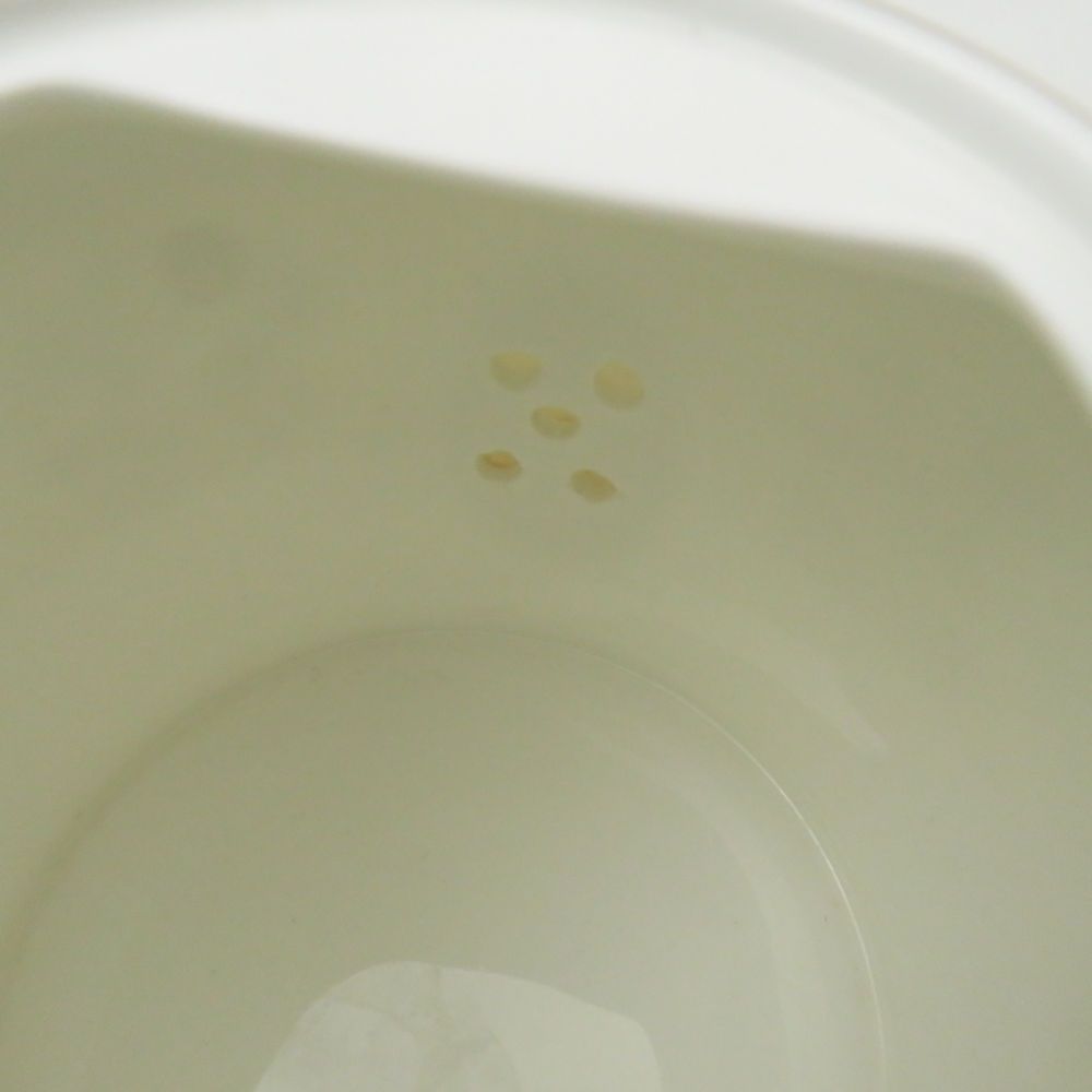 ジャパニーズティーポット