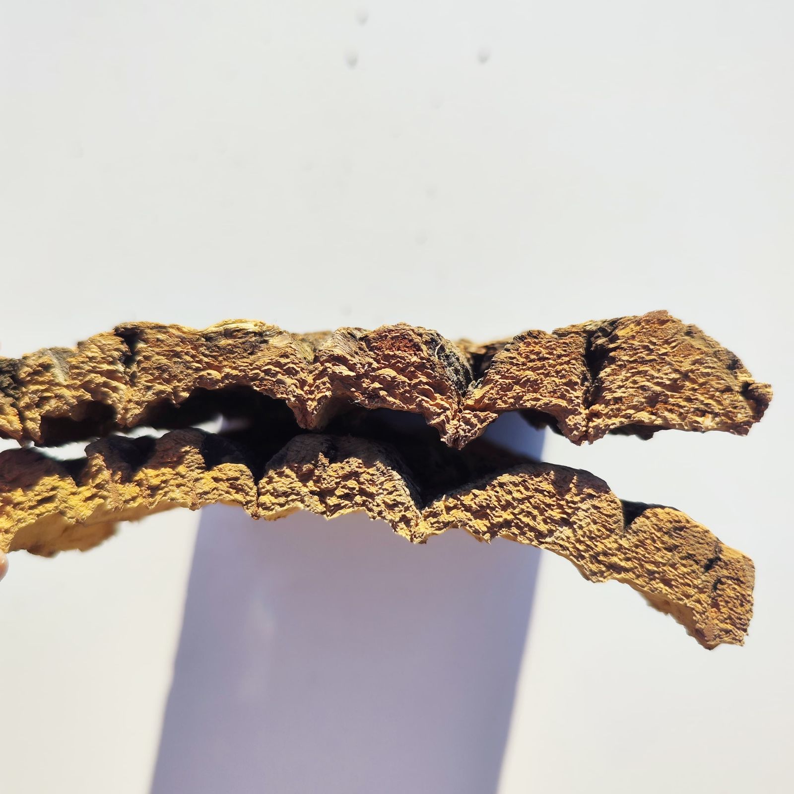 c3299 2枚セット 15×20cm コルク樹皮 コルク板 バージンコルク 送料