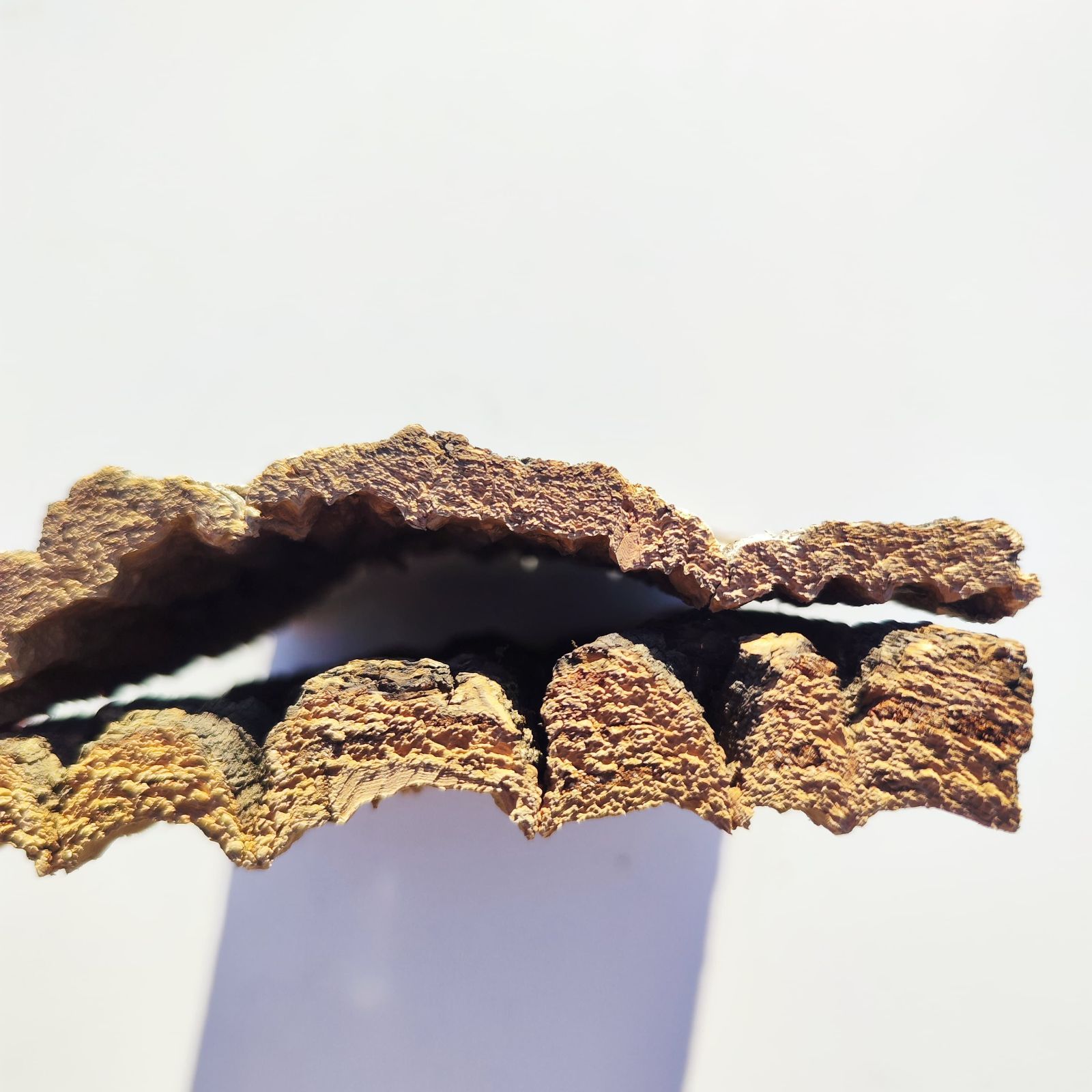 c3301 2枚セット 15×20cm コルク樹皮 コルク板 バージンコルク 送料