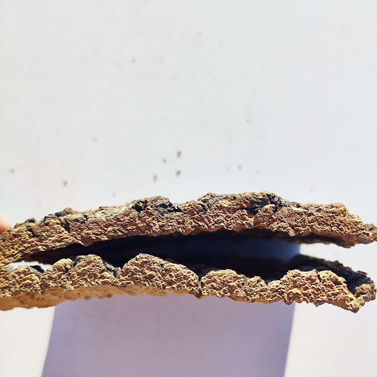 c3303 2枚セット 15×20cm コルク樹皮 コルク板 バージンコルク 送料