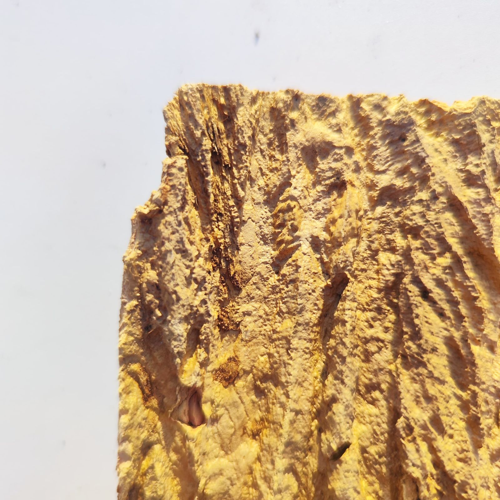 c991 25×30cm コルク樹皮 コルク板 バージンコルク 穴あけ可 送料無料