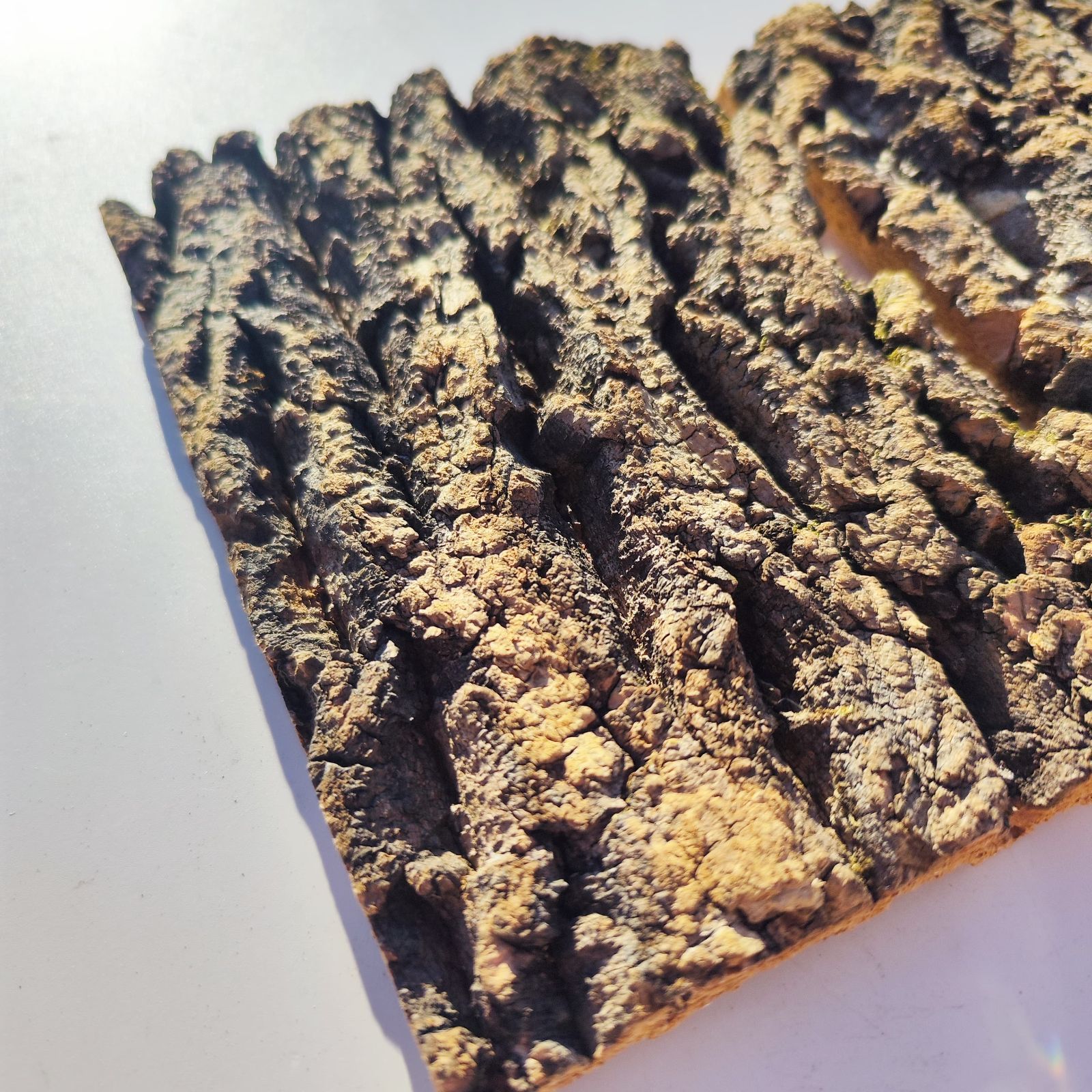 c3299 2枚セット 15×20cm コルク樹皮 コルク板 バージンコルク 送料