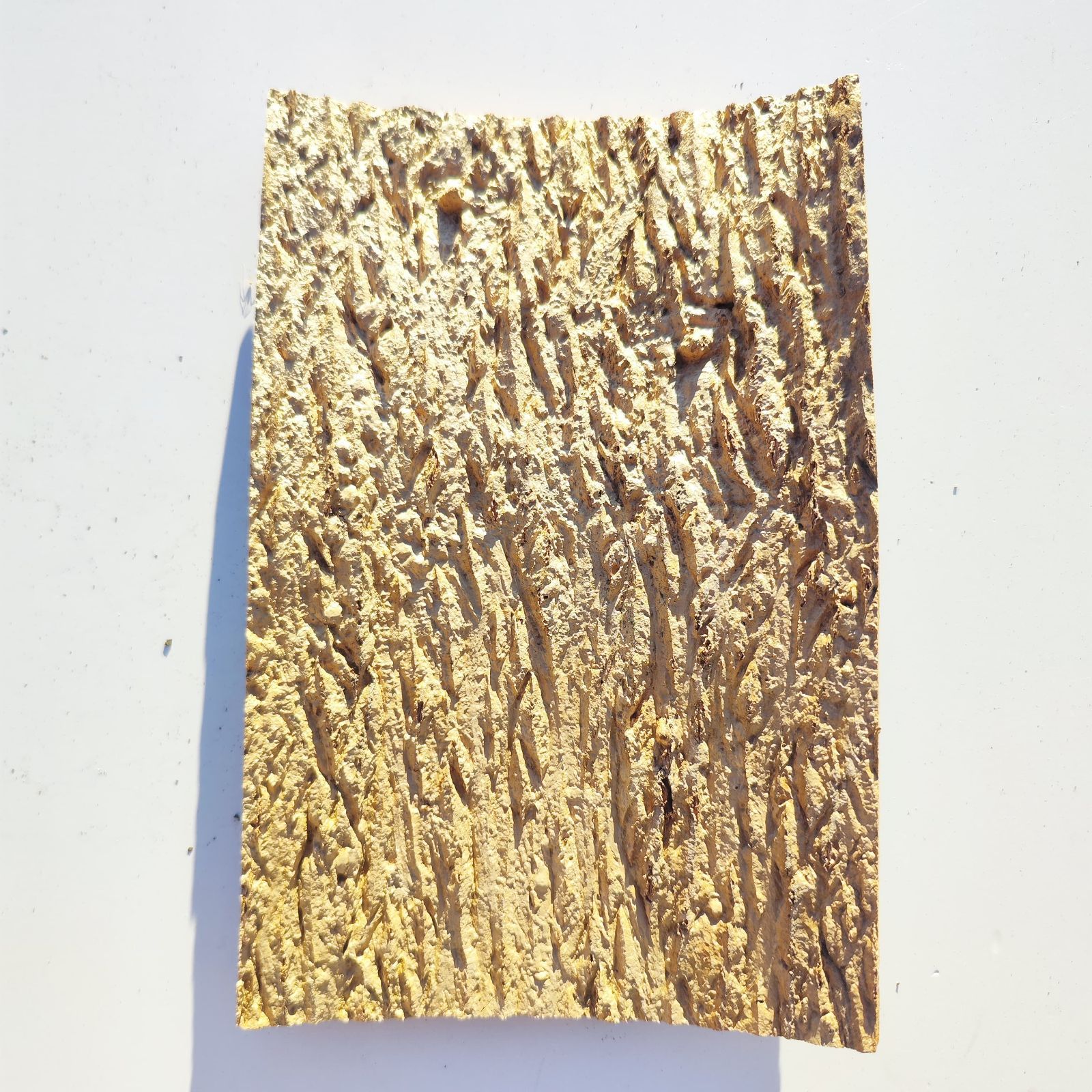 c1161 20×30cm コルク樹皮 コルク板 バージンコルク 穴あけ可 送料無料