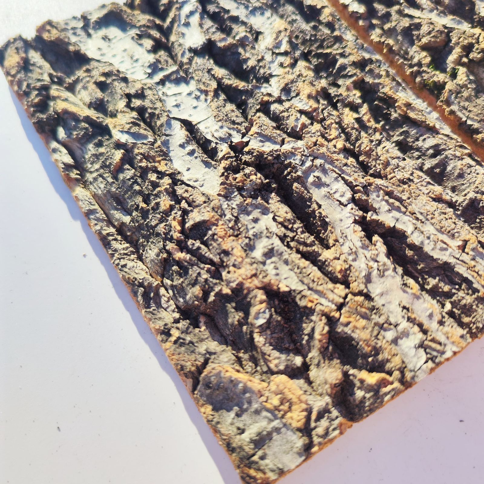 c3304 2枚セット 15×20cm コルク樹皮 コルク板 バージンコルク 送料