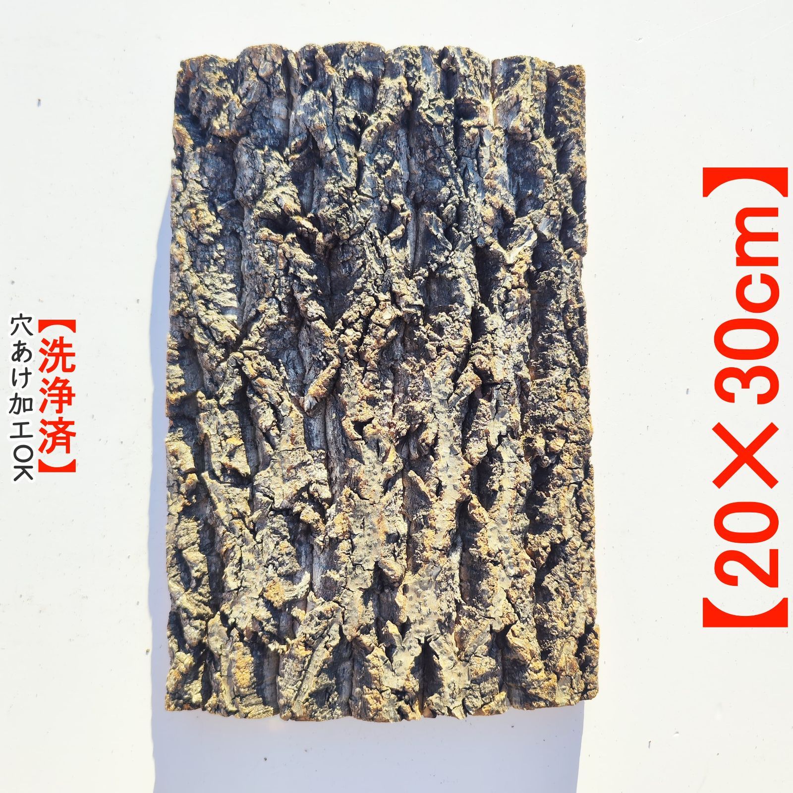 コルク樹皮 ビカク板付 6枚セット コルク樹皮 ビカク板付 6枚セット