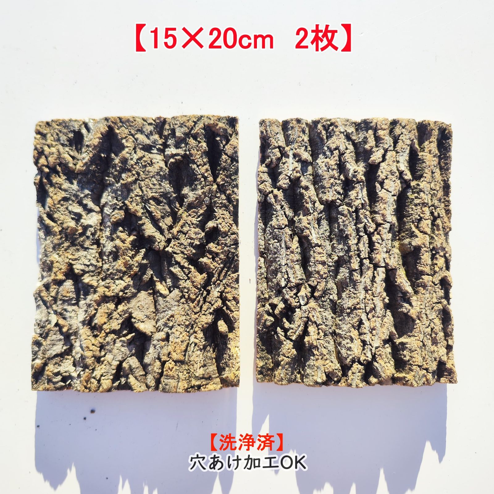 コルク樹皮　ビカク板付　６枚セット コルク樹皮 ビカク板付 6枚セット 板付け用コルク / ビカクシダ