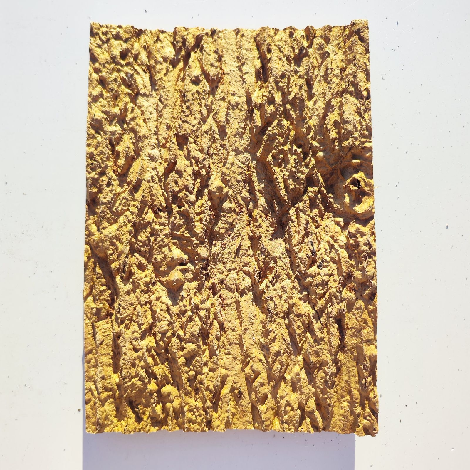 コルク樹皮　ビカク板付　６枚セット c1154 20×30cm コルク樹皮 コルク板 バージンコルク 穴あけ可 送料無料