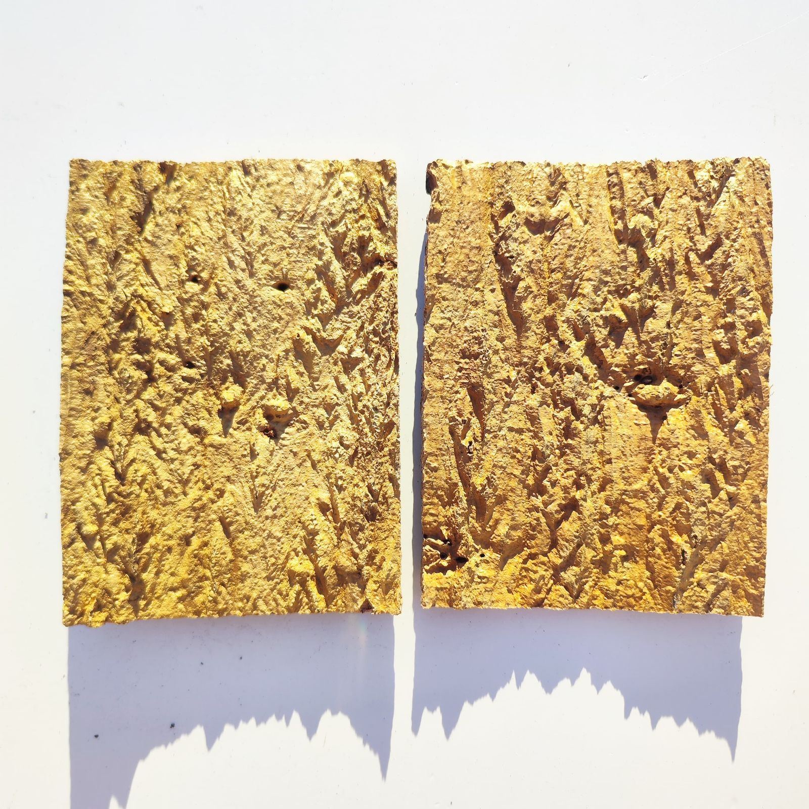 c3304 2枚セット 15×20cm コルク樹皮 コルク板 バージンコルク 送料