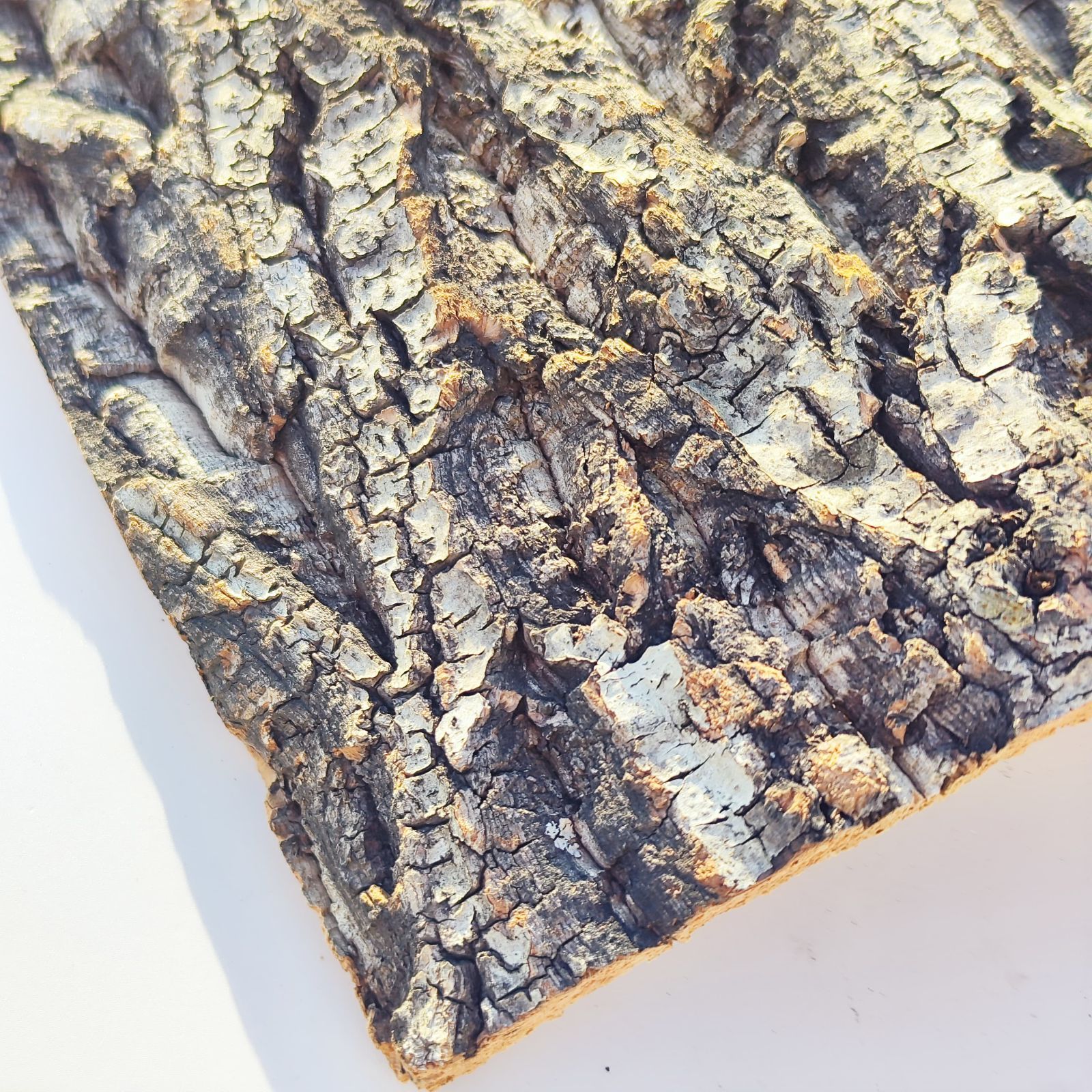 c982 25×30cm コルク樹皮 コルク板 バージンコルク 穴あけ可 送料無料