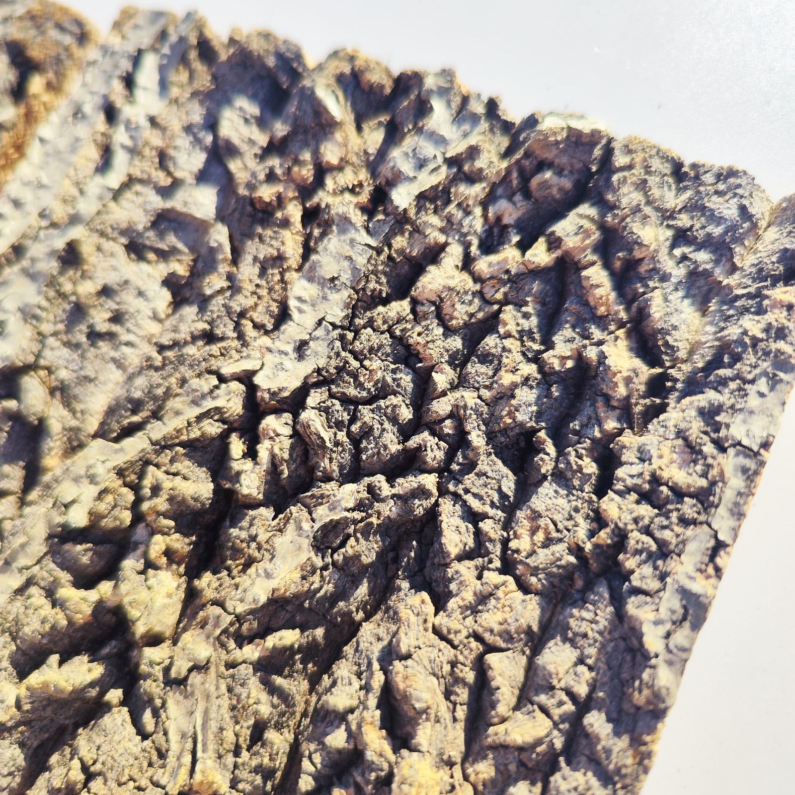 c3303 2枚セット 15×20cm コルク樹皮 コルク板 バージンコルク 送料