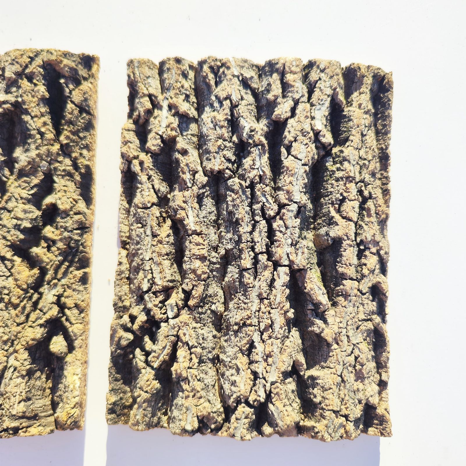 c3302 2枚セット 15×20cm コルク樹皮 コルク板 バージンコルク 送料