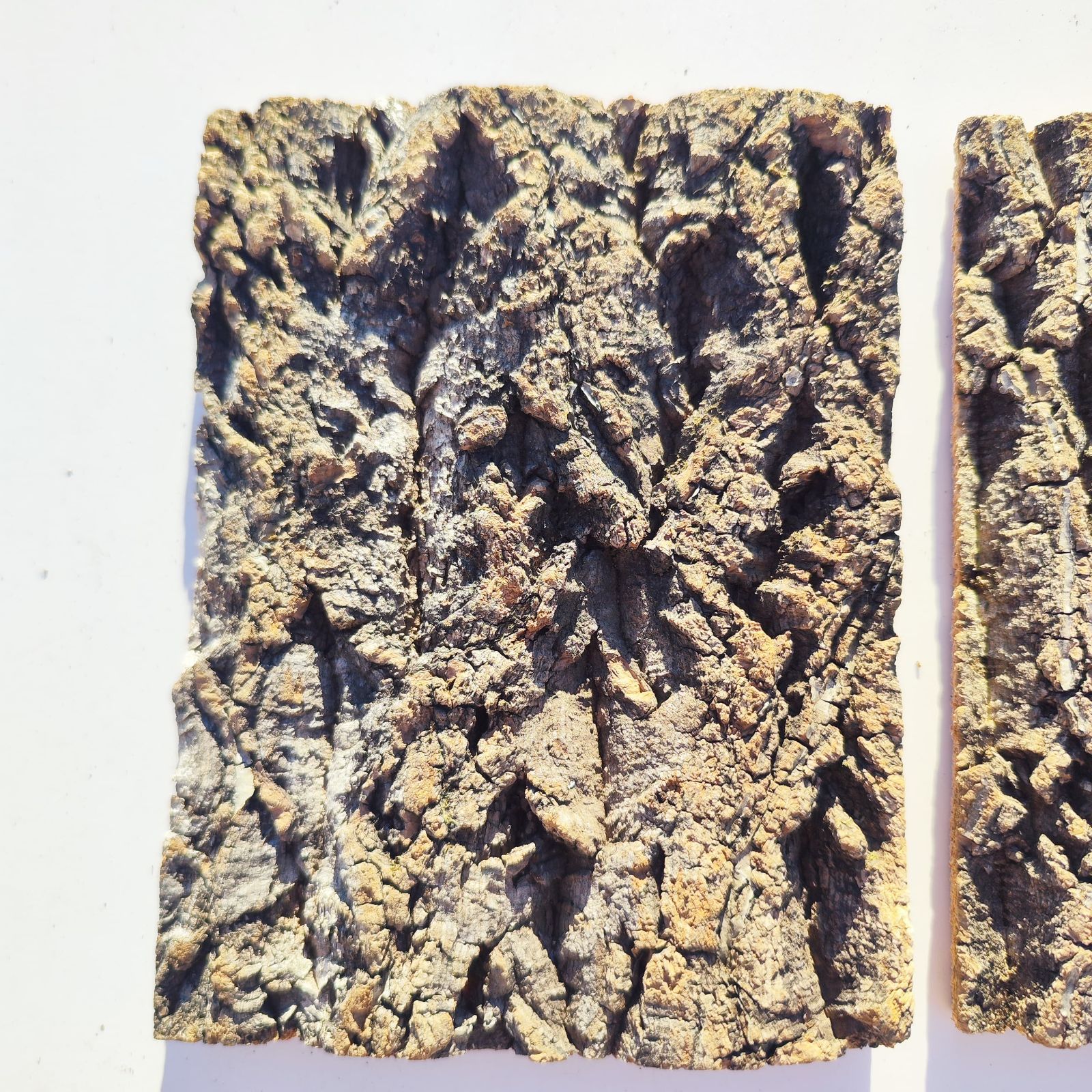 コルク樹皮　ビカク板付　６枚セット コルク樹皮 ビカク板付 6枚セット 板付け用コルク / ビカクシダ