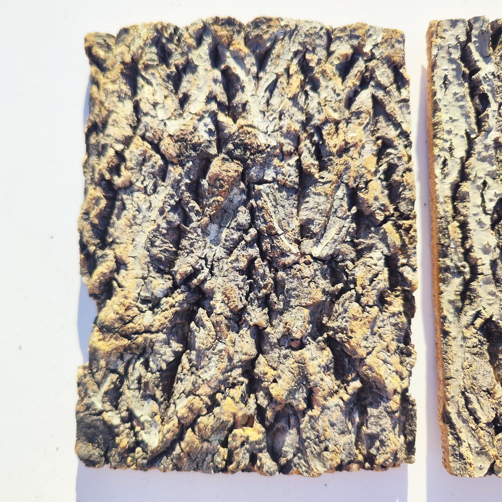 コルク樹皮　ビカク板付　６枚セット c3303 2枚セット 15×20cm コルク樹皮 コルク板 バージンコルク 送料