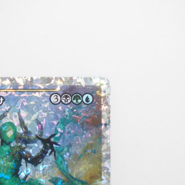 MAGIC The Gathering MTG 墓場波、ムルドローサ M 0440 FDN☆JP ショー