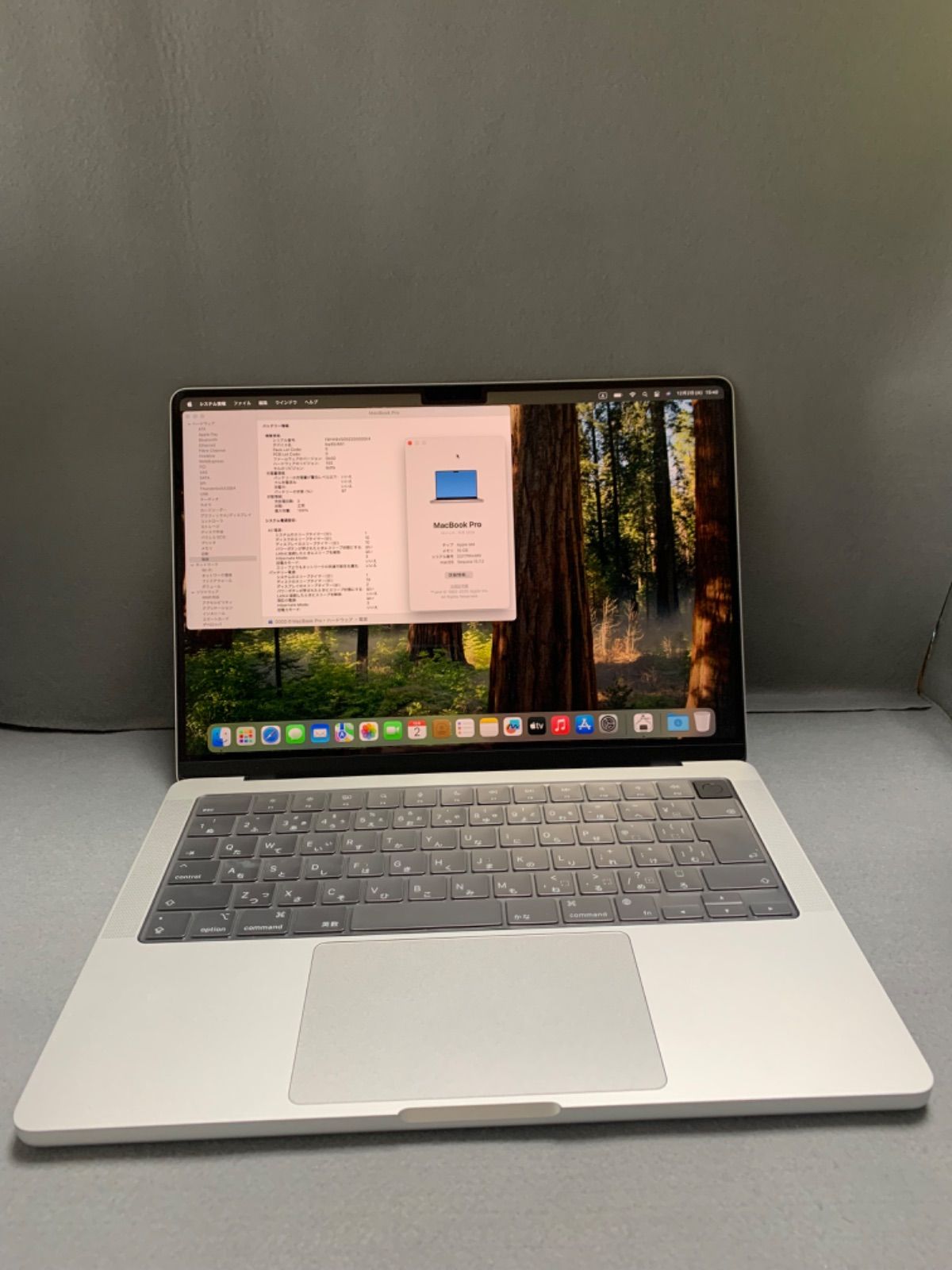MacBook Pro 14インチ M 4 16 GB 512 シルバー色