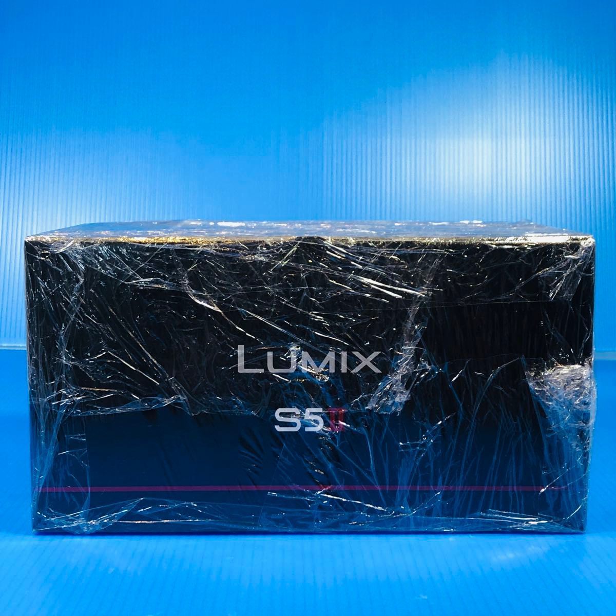 パナソニック Panasonic フルサイズミラーレス一眼カメラ S 5 M 2 K 標準ズームレンズキット ブラック DC