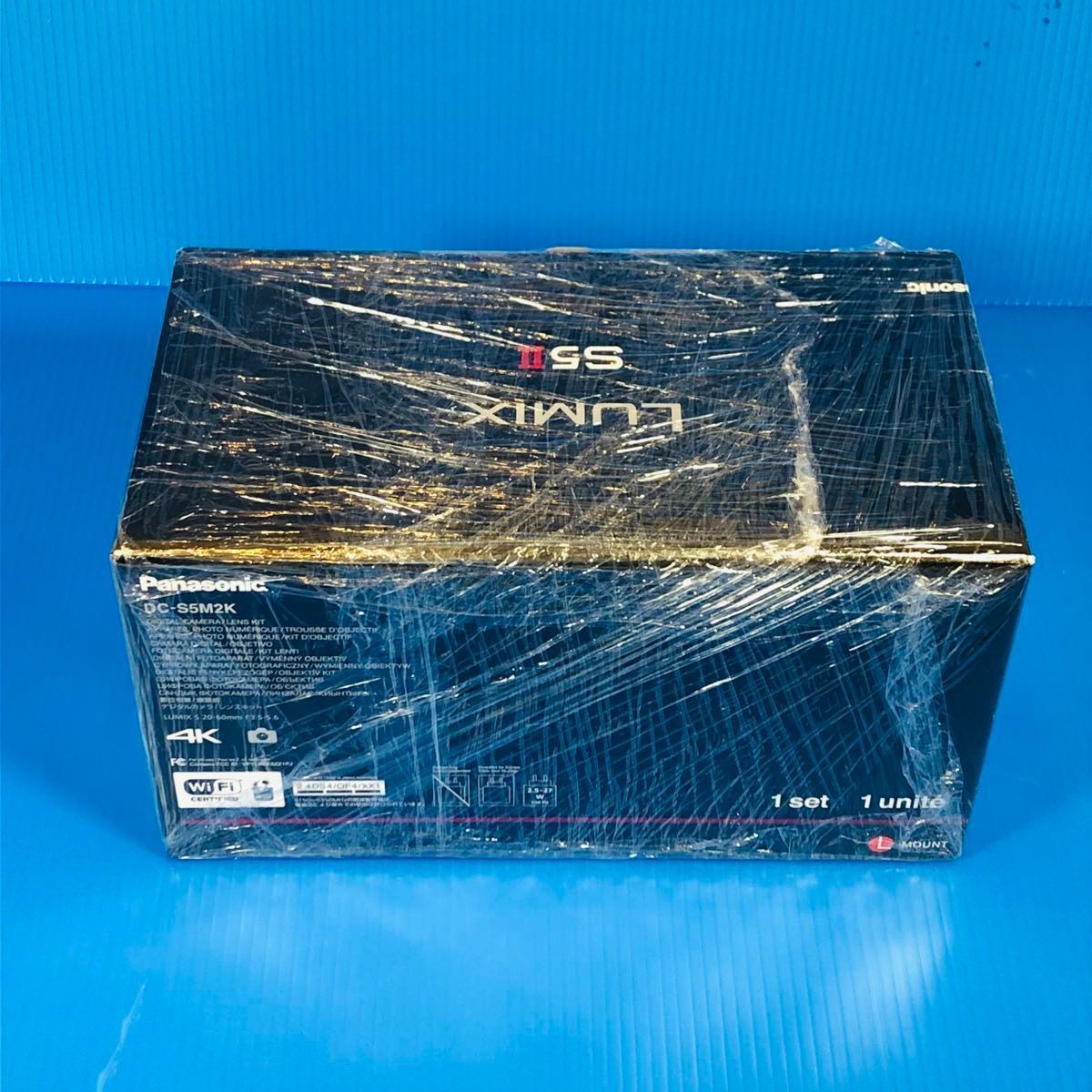 標準ズームレンズキット