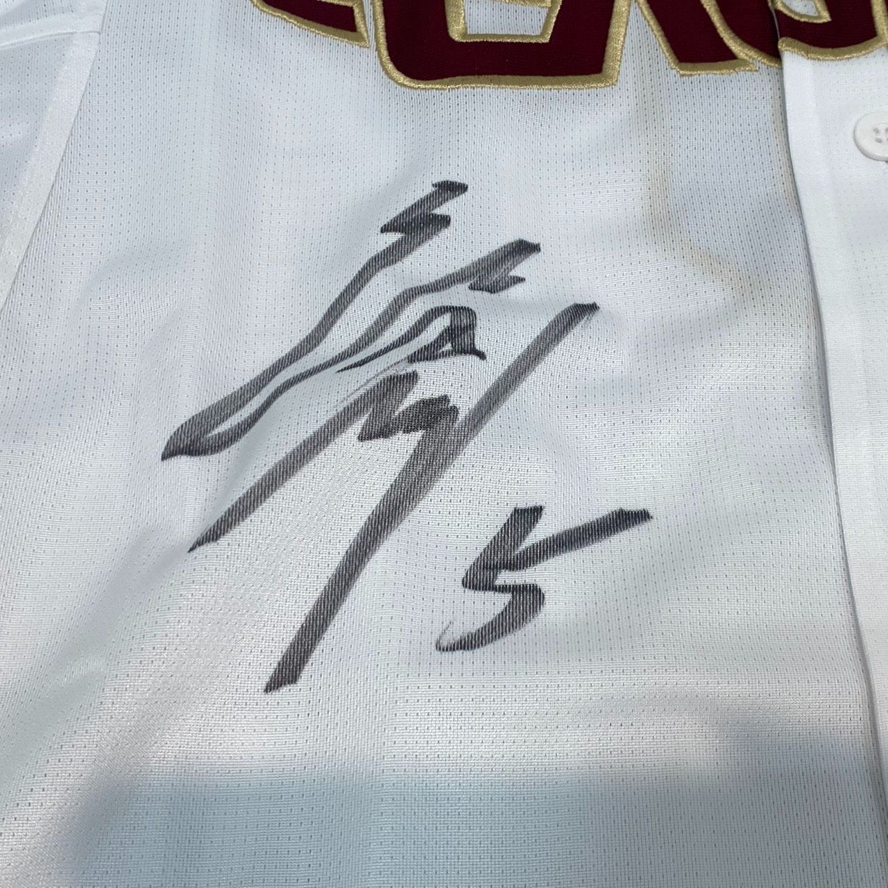 ☆野球グッズ 東北楽天ゴールデンイーグルス 茂木栄五郎 直筆サイン