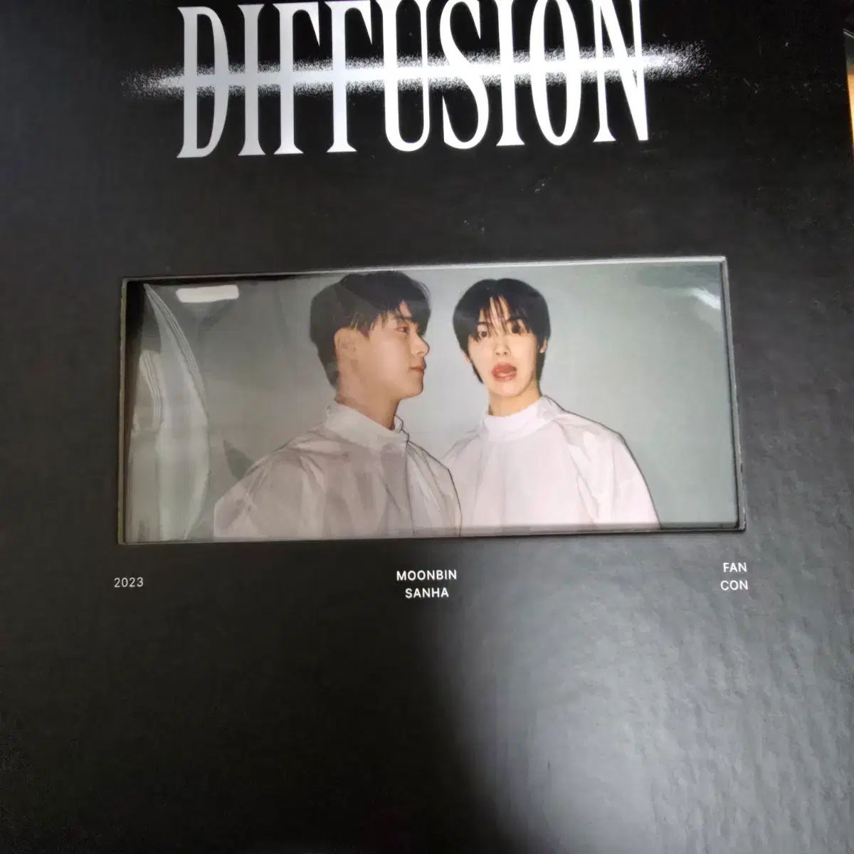 ムンビン＆ユン・サナ 2023 ファンコン DIFFUSION DVD - メルカリ