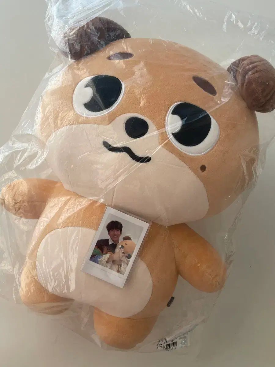 ジャイアント デニマルズ ドン DAY 6