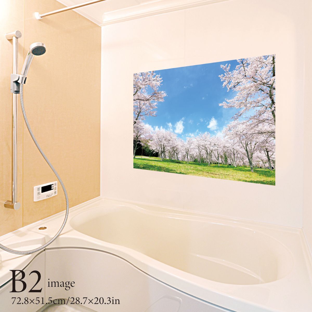 【非売品】春色桜瀬 B2 サイズ ポスター 満開の桜 B2サイズ お風呂ポスター 防水ポスター - メルカリ