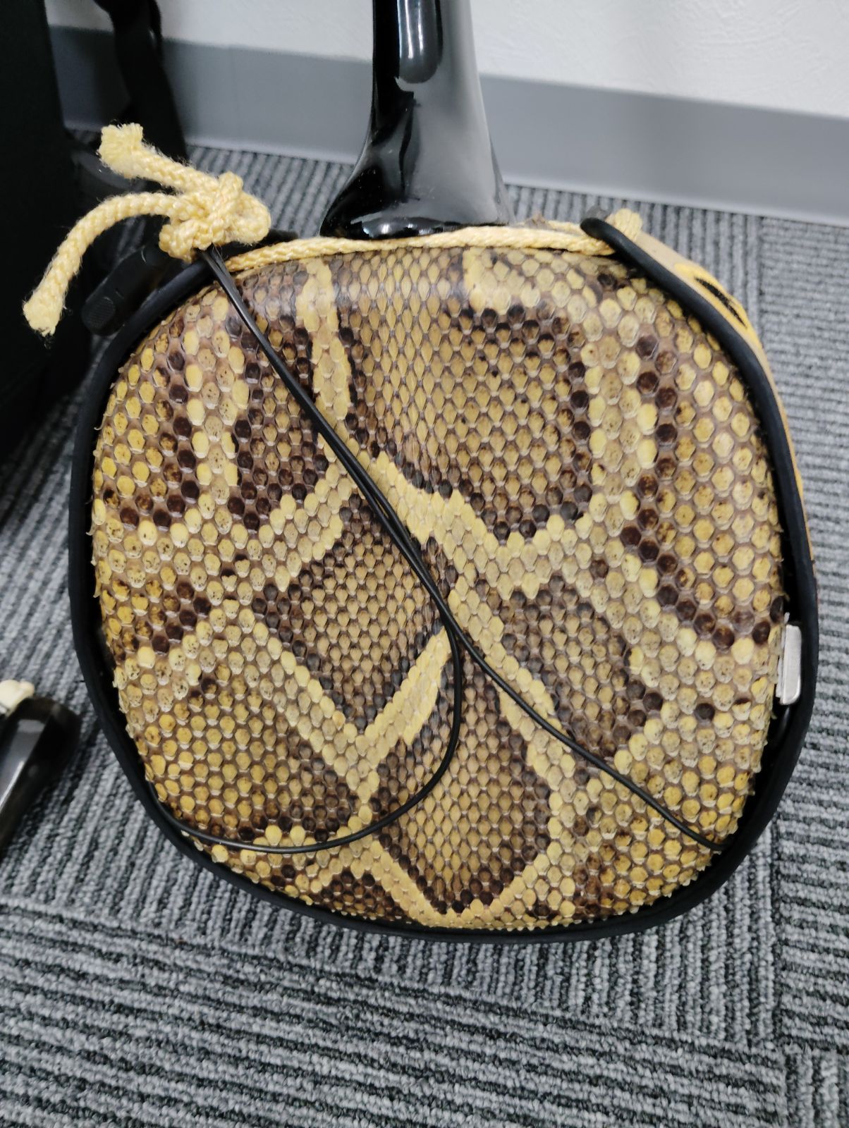 沖縄三線 蛇革 沖縄民謡 ソフトケース付き 弦楽器 - メルカリ