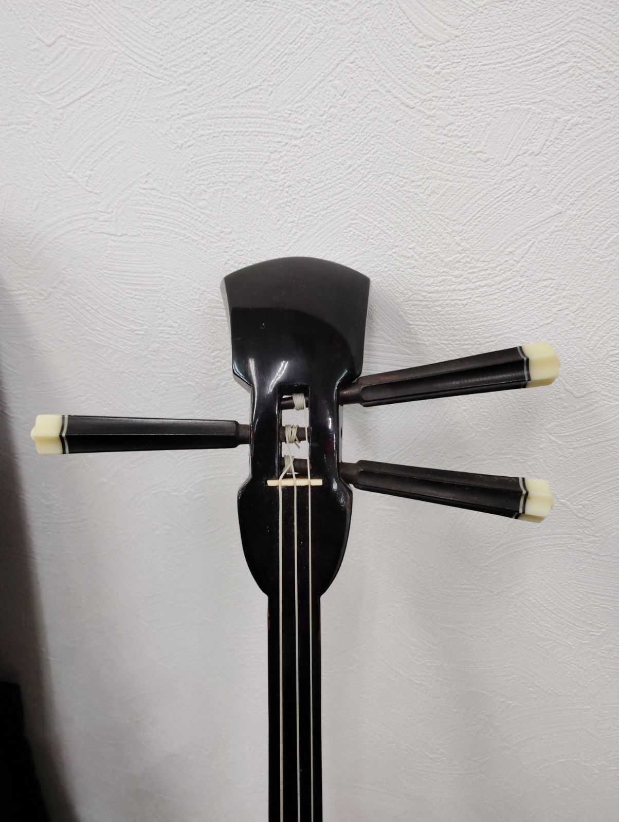 沖縄三線 蛇革 沖縄民謡 ソフトケース付き 弦楽器 - メルカリ